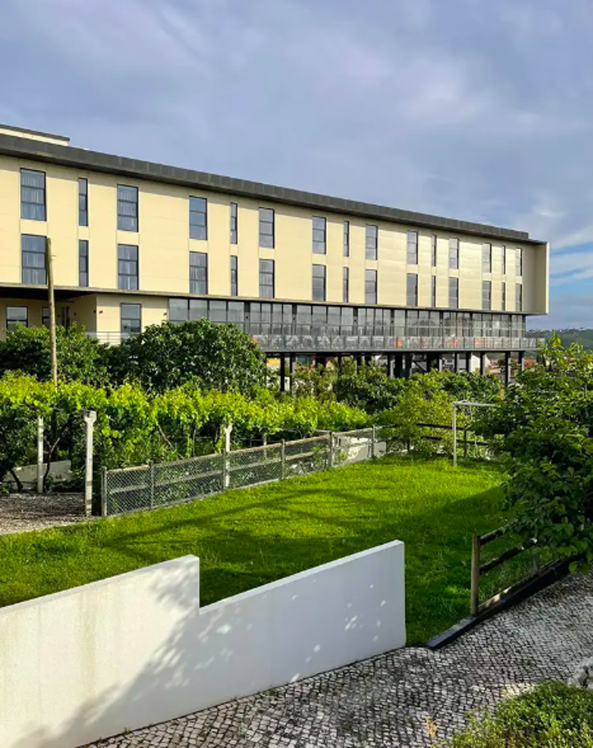 captura-de-ecra-2025-07-01-as-172353