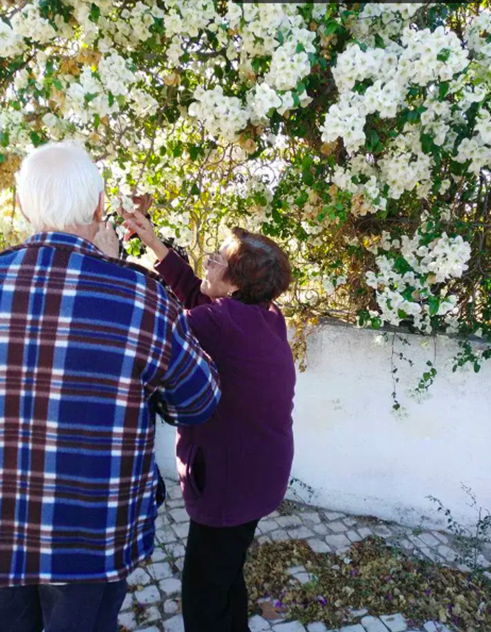 captura-de-ecra-2025-07-01-as-180336