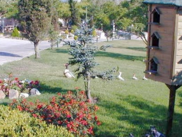 Casa de Repouso Quinta dos Cedros