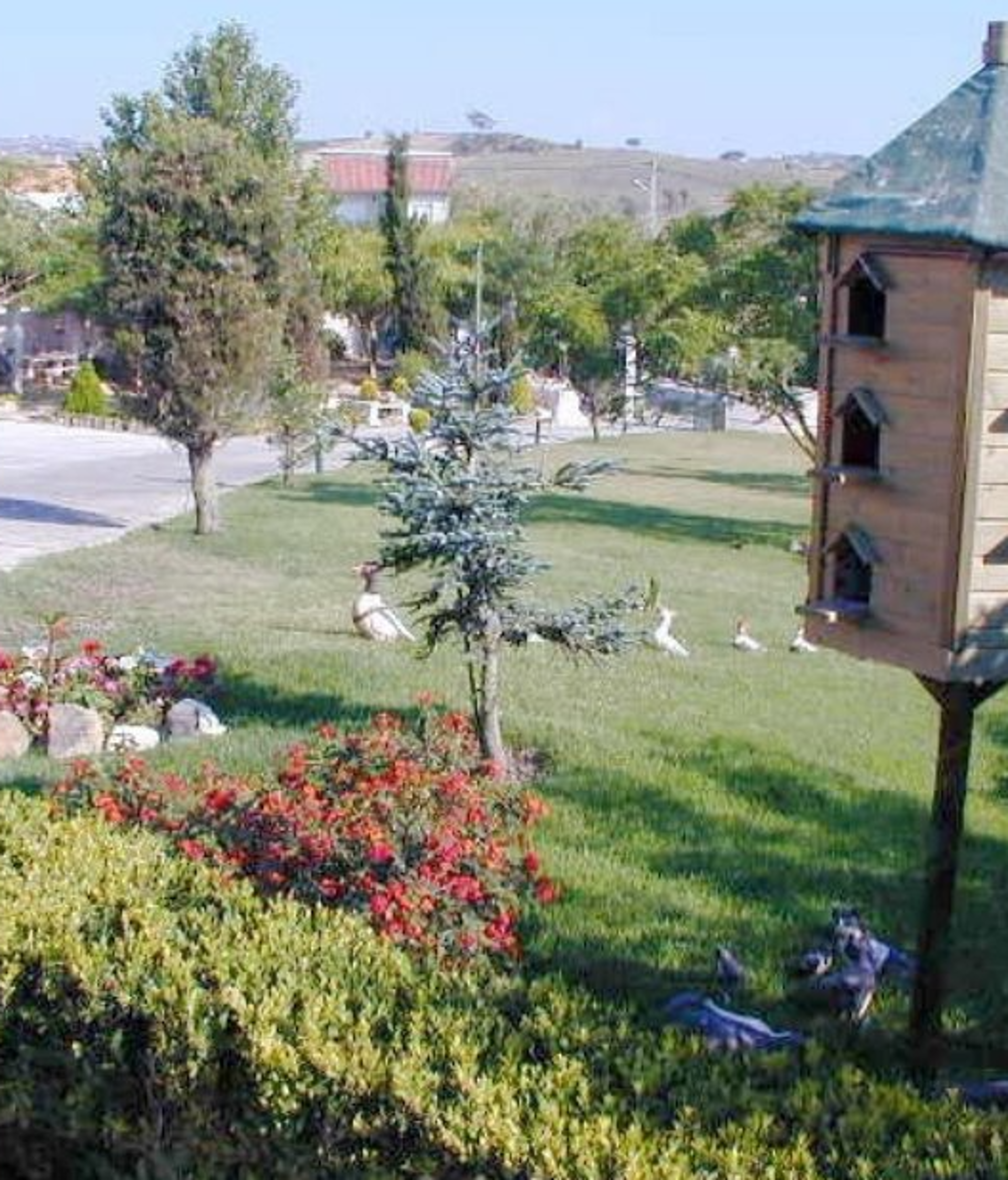 Casa de Repouso Quinta dos Cedros