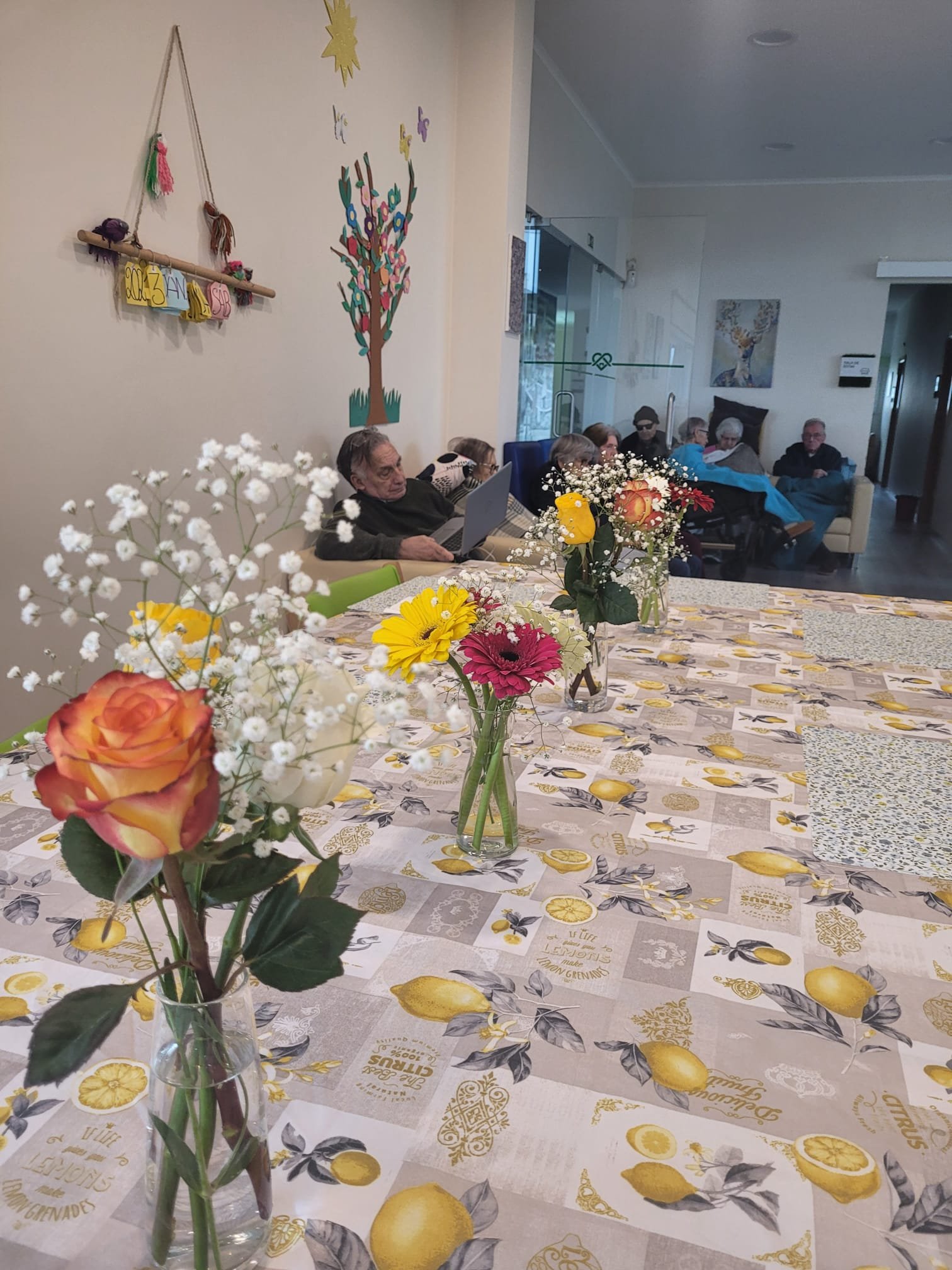 Residência Sénior Maria Rosa II